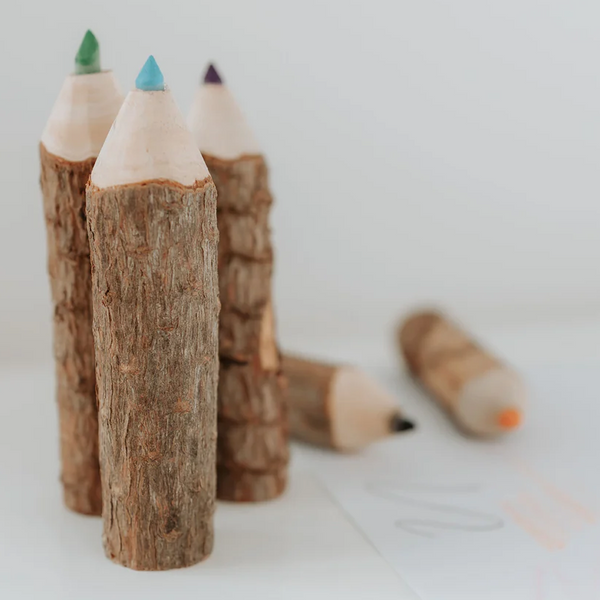 RNR NZ Made Wooden Coloured Pencil Set of 6