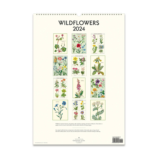 Cavallini 2024 Wall Calendar Wildflowers