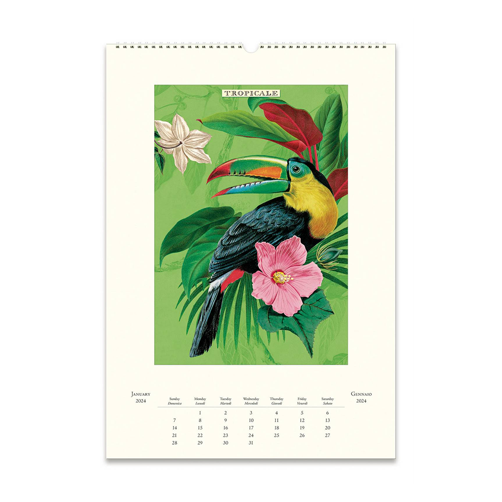 Cavallini 2024 Wall Calendar Tropicale