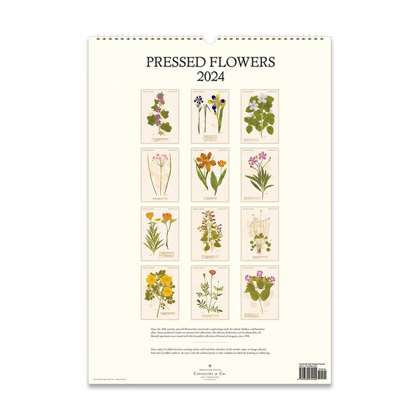 Cavallini 2024 Wall Calendar Pressed Flowers