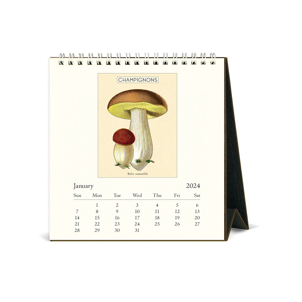 Cavallini 2024 Desk Calendar Mushrooms