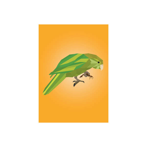 ibizaspeedcharter Geo Bird Card Kākāpō