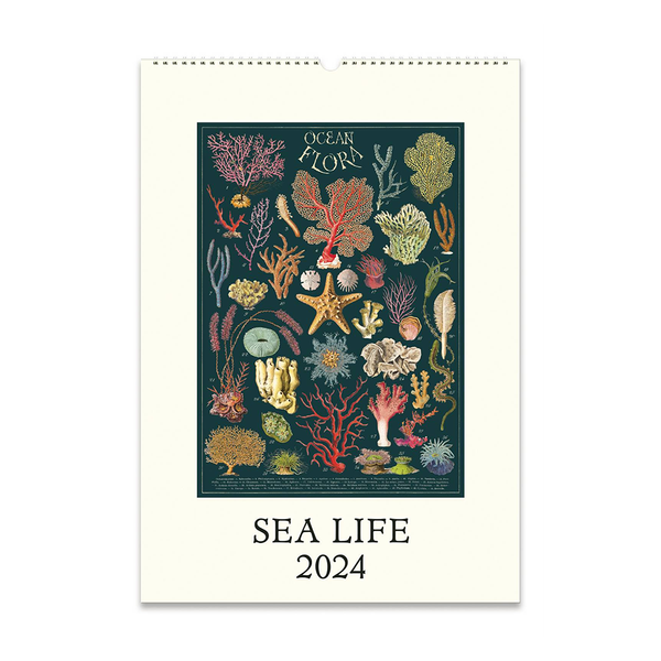 Cavallini 2024 Wall Calendar Sea Life
