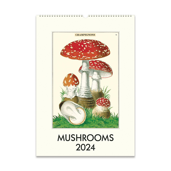 Cavallini 2024 Wall Calendar Mushrooms