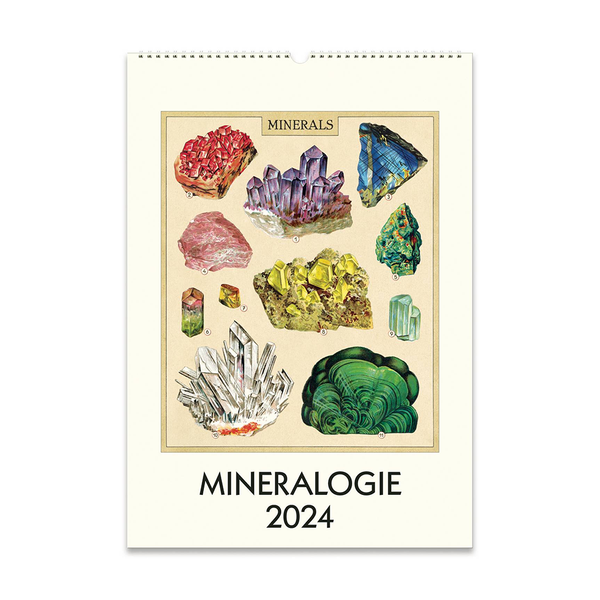 Cavallini 2024 Wall Calendar Mineralogie