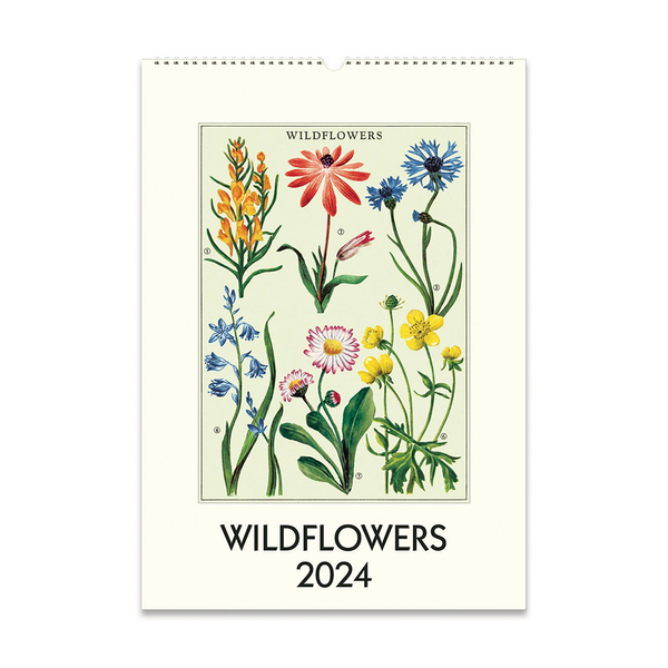 Cavallini 2024 Wall Calendar Wildflowers