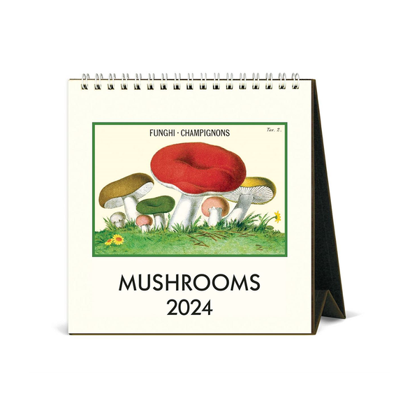 Cavallini 2024 Desk Calendar Mushrooms