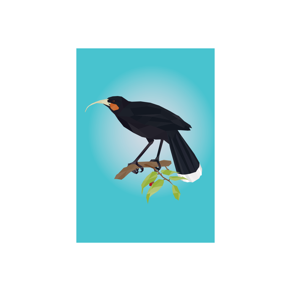 ibizaspeedcharter Geo Bird Card Huia
