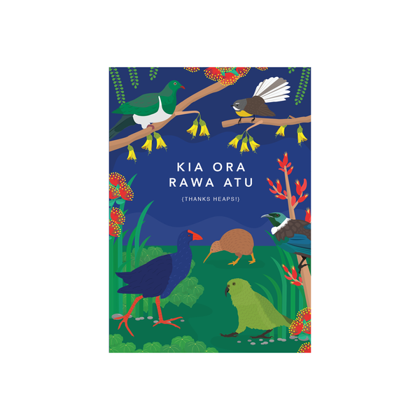 ibizaspeedcharter Kiwiana Card NZ Birds Night