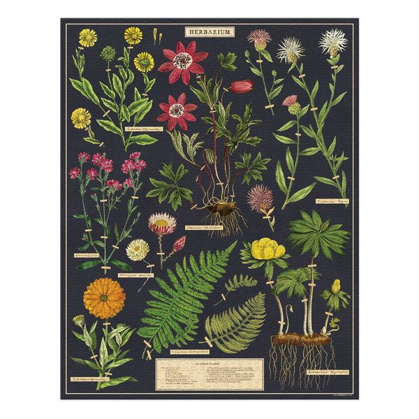 Cavallini 1000 Piece Puzzle Herbarium