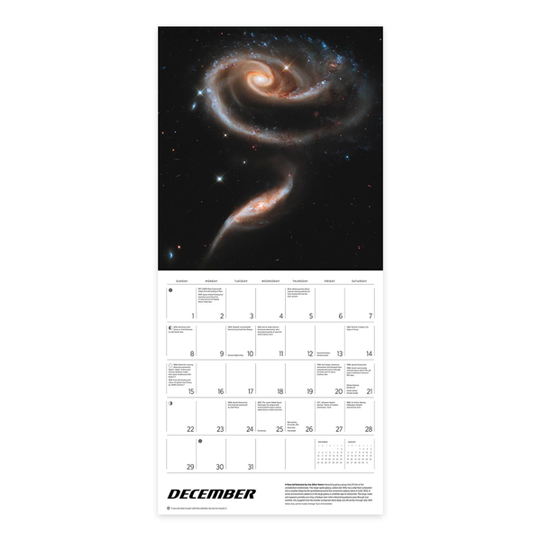 2024 Wall Calendar Space