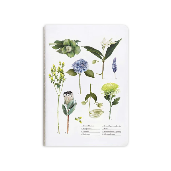 Father Rabbit Notebook Botanical Chart